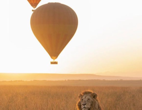 8 Days Masai Mara/Nakuru/Amboseli/Tsavo west/ Tsavo East