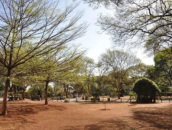 Nairobi Historical and Essential Free Walking Tour